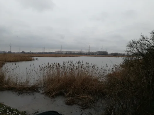Plains of Zwijndrecht, Antwerp (Belgium)